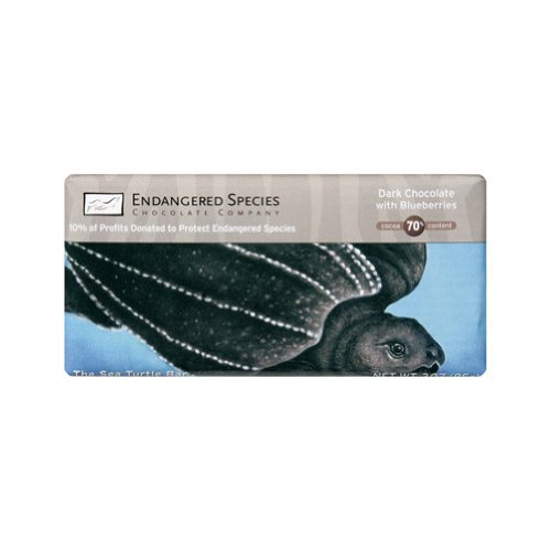 Endangered Species Dark Chocolate Bar Blueberry Turtle