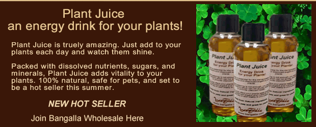 featured wholesale product
